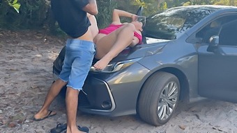 I Had Sex With A Girl In Public, Doggystyle And In Various Positions